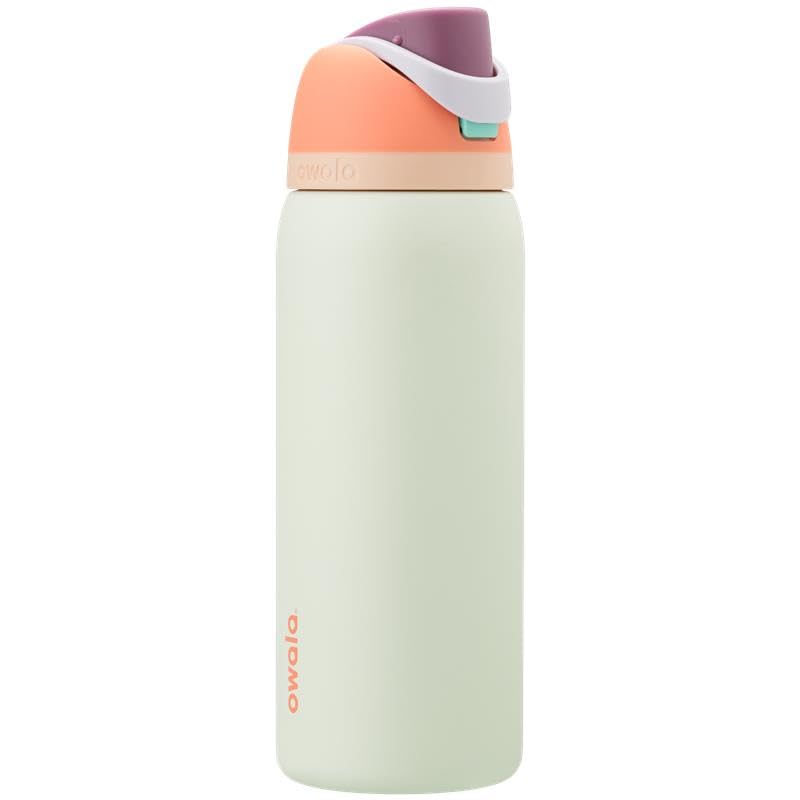 Owala FreeSip Stainless Steel Water Bottle 32 oz Dreamy Field