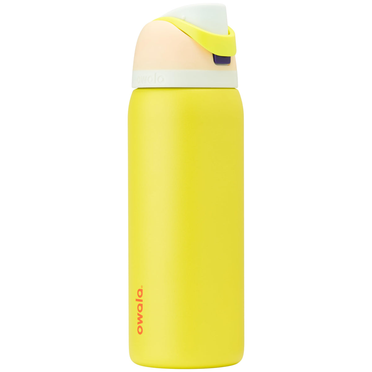 Owala FreeSip Stainless Steel Water Bottle 32 oz Dreamy Field