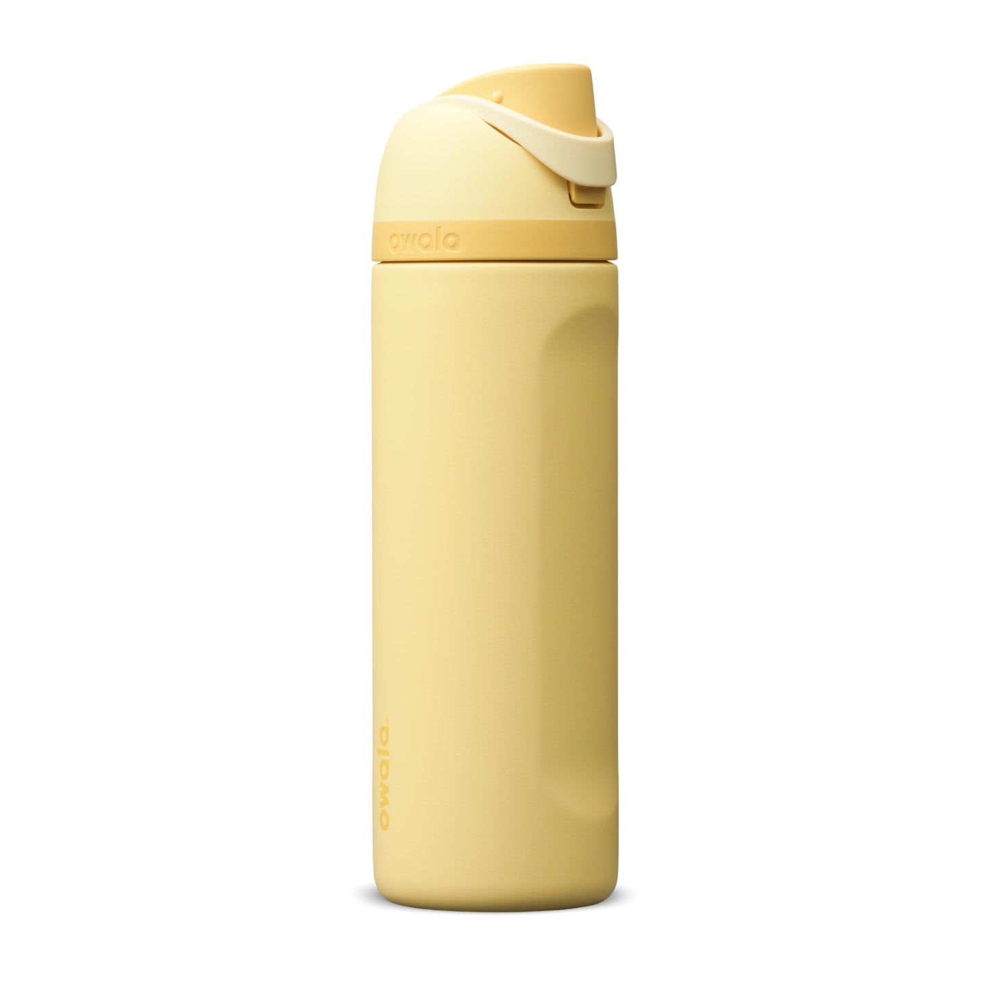 Owala FreeSip Stainless Steel Water Bottle 32 oz Dreamy Field