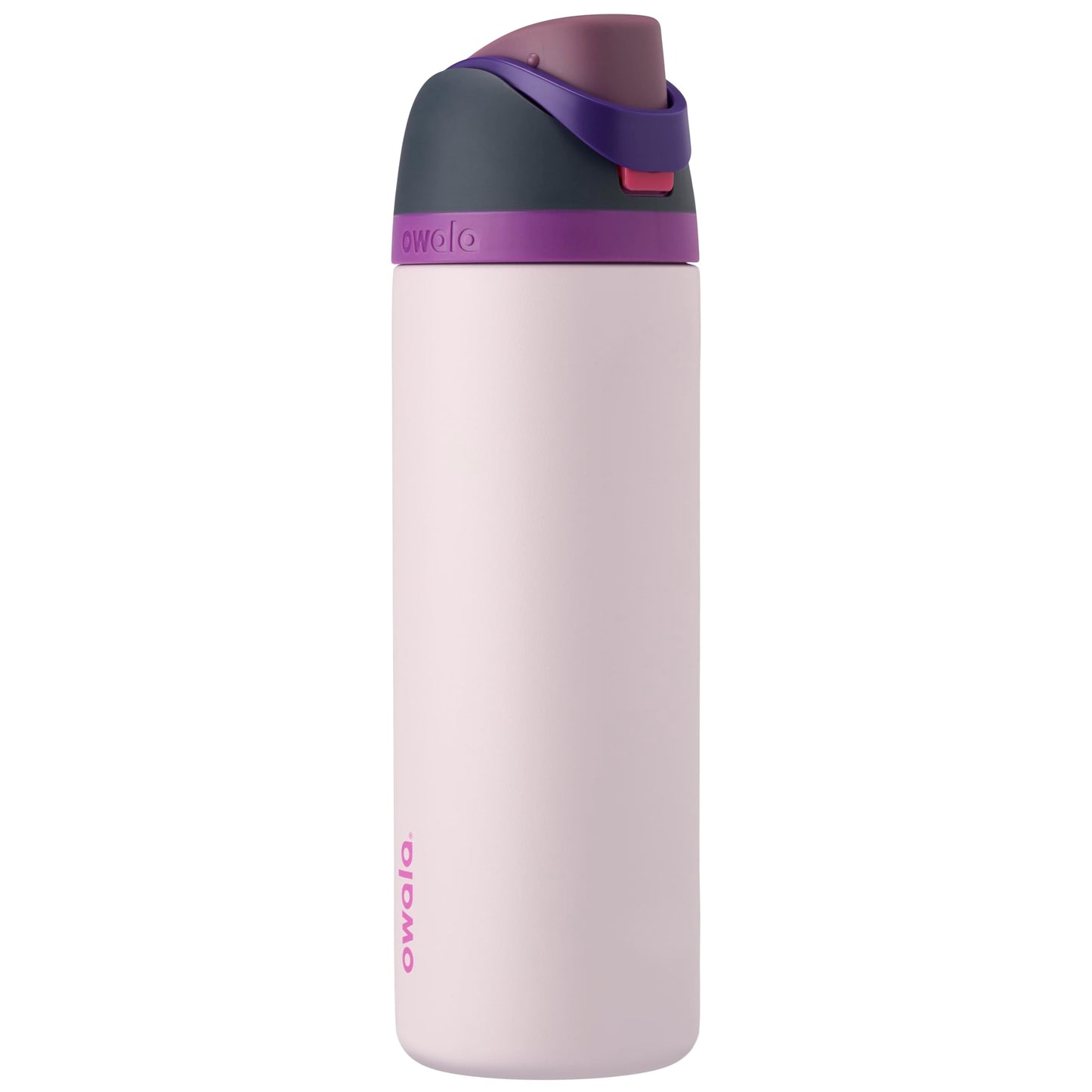 Owala FreeSip Stainless Steel Water Bottle 32 oz Dreamy Field