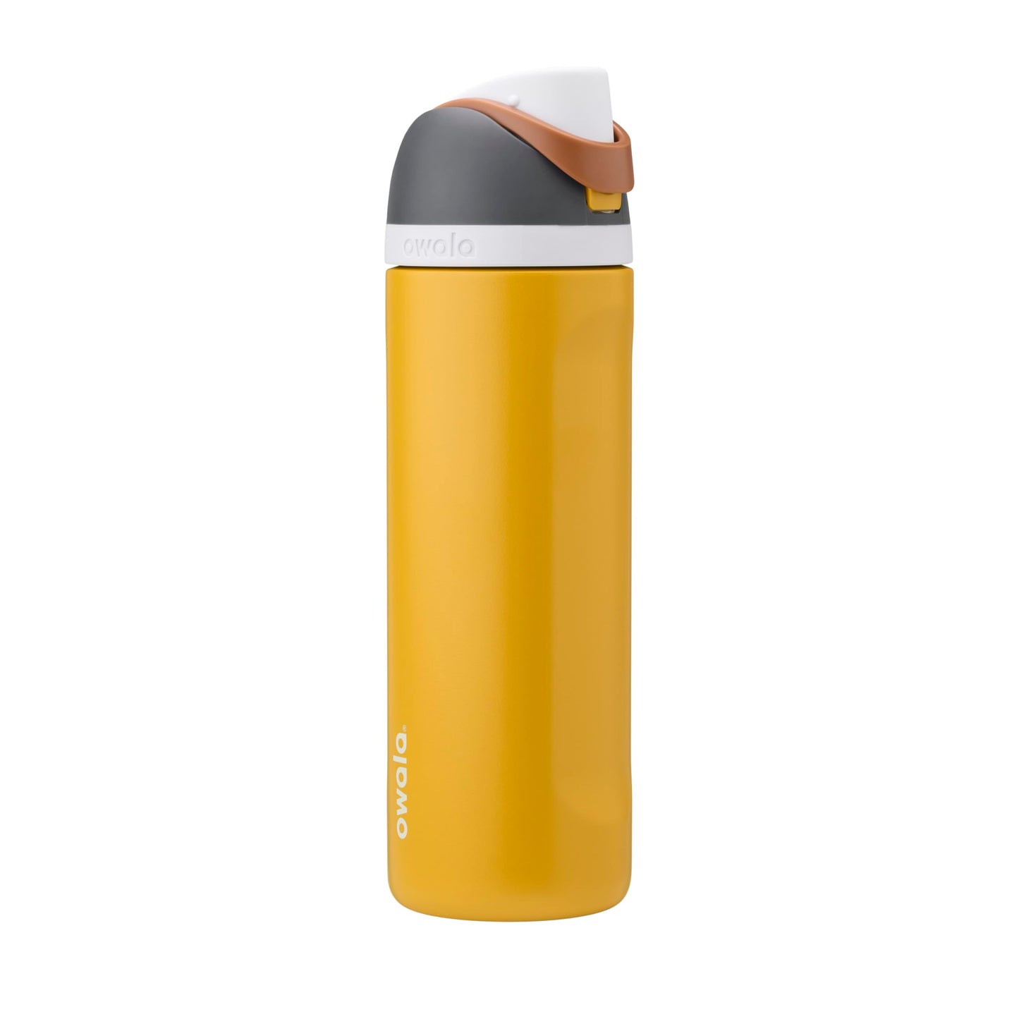 Owala FreeSip Stainless Steel Water Bottle 32 oz Dreamy Field