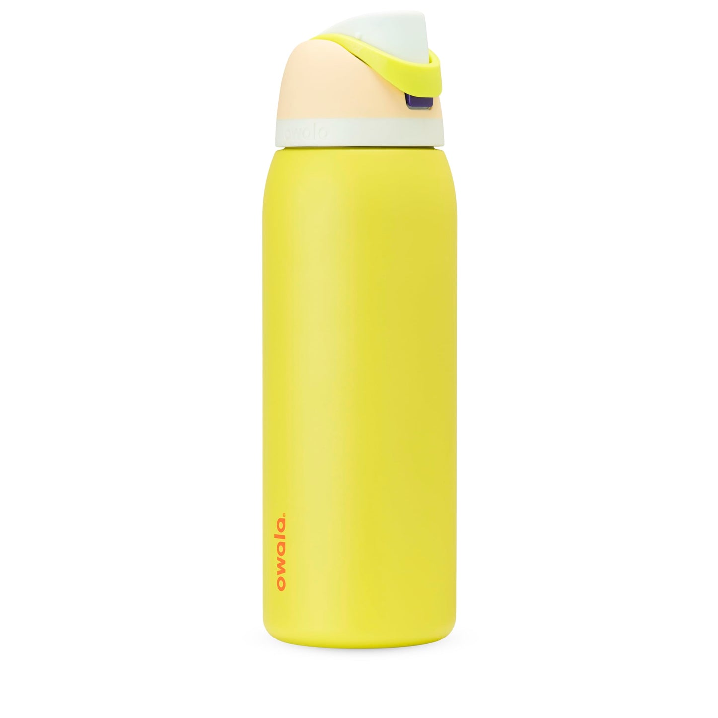 Owala FreeSip Stainless Steel Water Bottle 32 oz Dreamy Field
