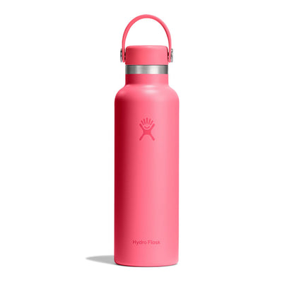 Hydro Flask Water Bottle - Insulated Stainless Steel - Non Spill, Leakproof in 24 Oz Agave Green