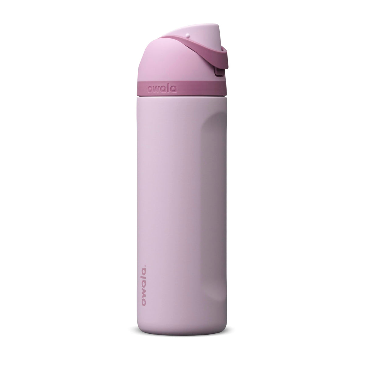 Owala FreeSip Stainless Steel Water Bottle 32 oz Dreamy Field