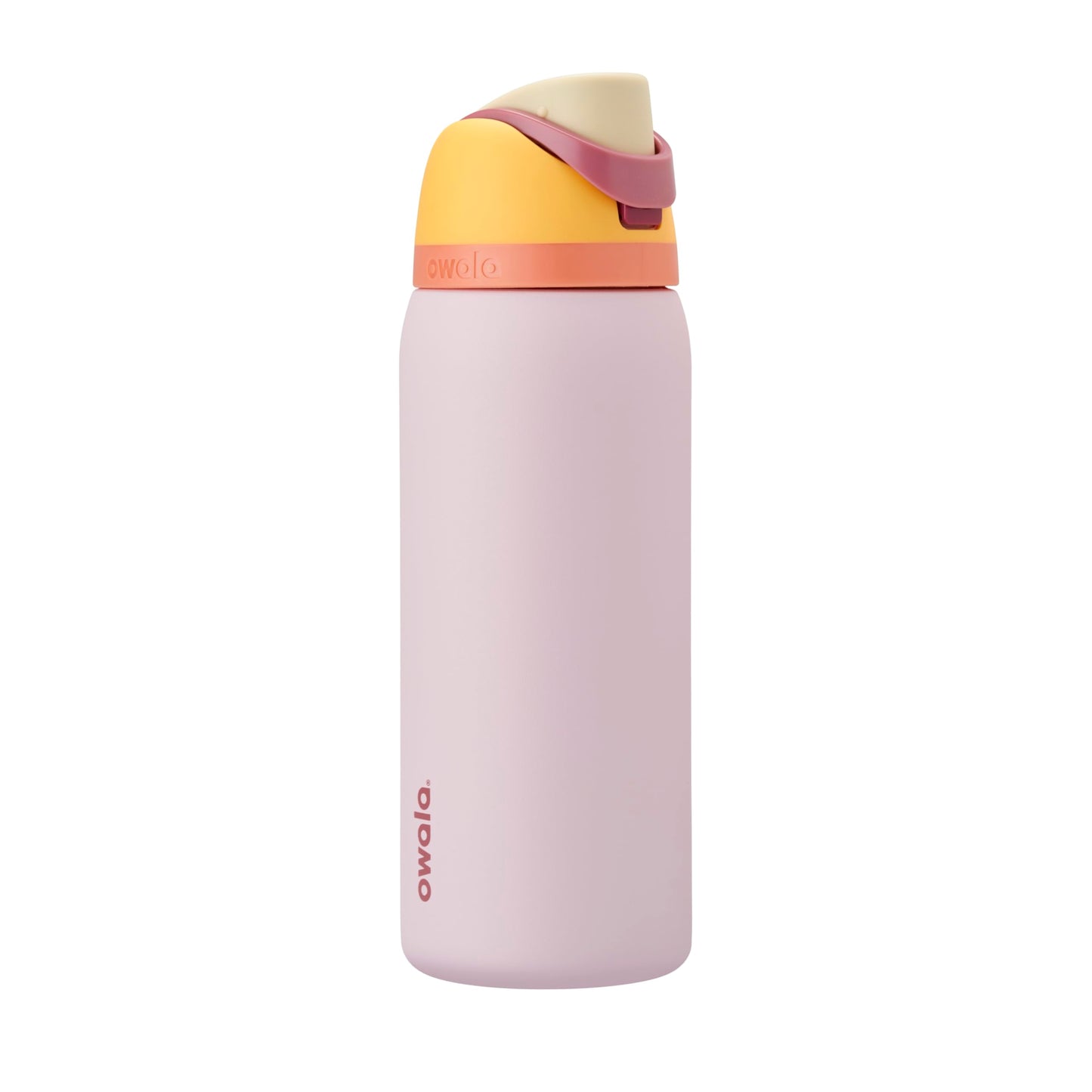 Owala FreeSip Stainless Steel Water Bottle 32 oz Dreamy Field