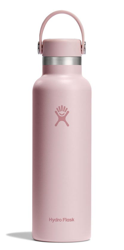 Hydro Flask Water Bottle - Insulated Stainless Steel - Non Spill, Leakproof in 24 Oz Agave Green