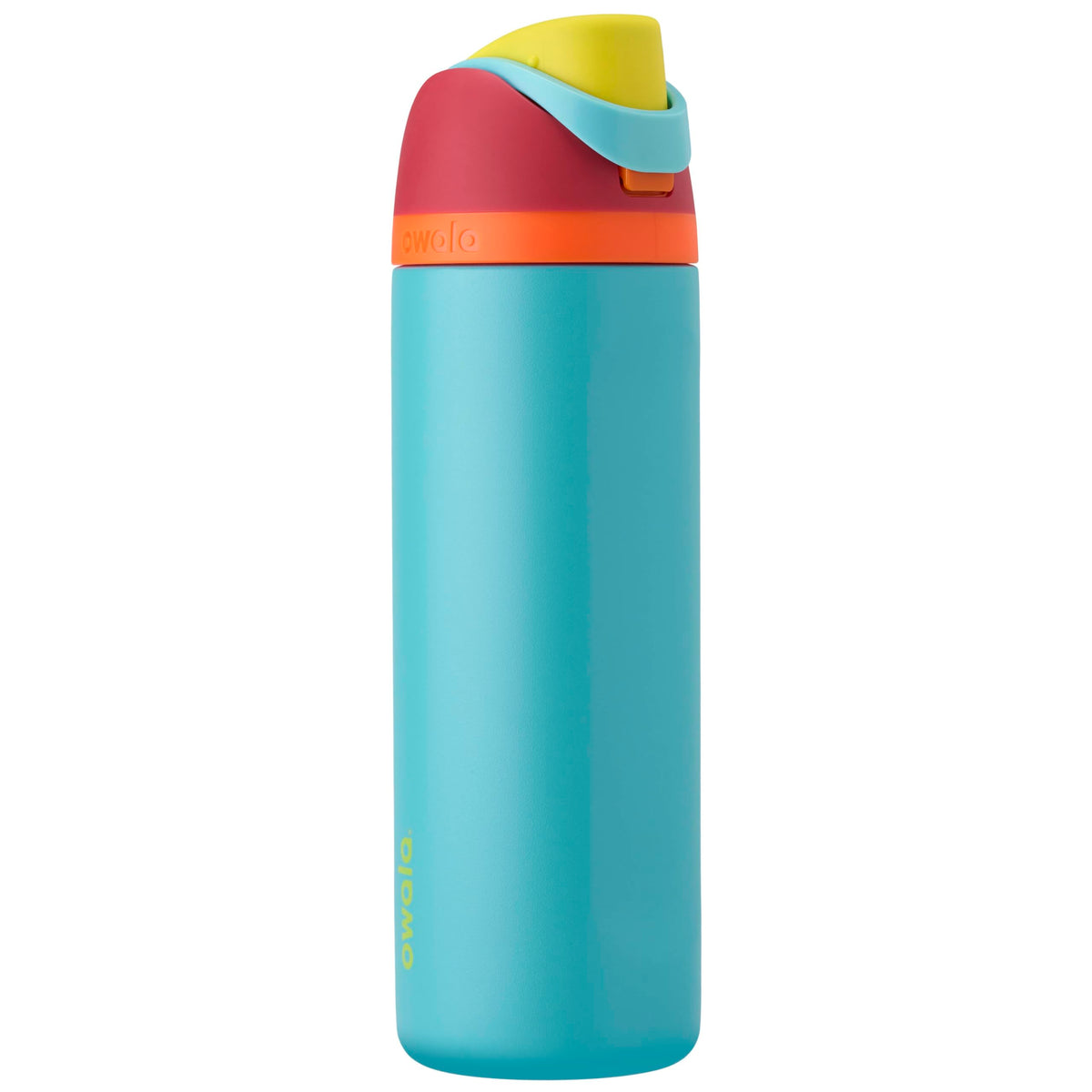 Owala FreeSip Stainless Steel Water Bottle 32 oz Dreamy Field