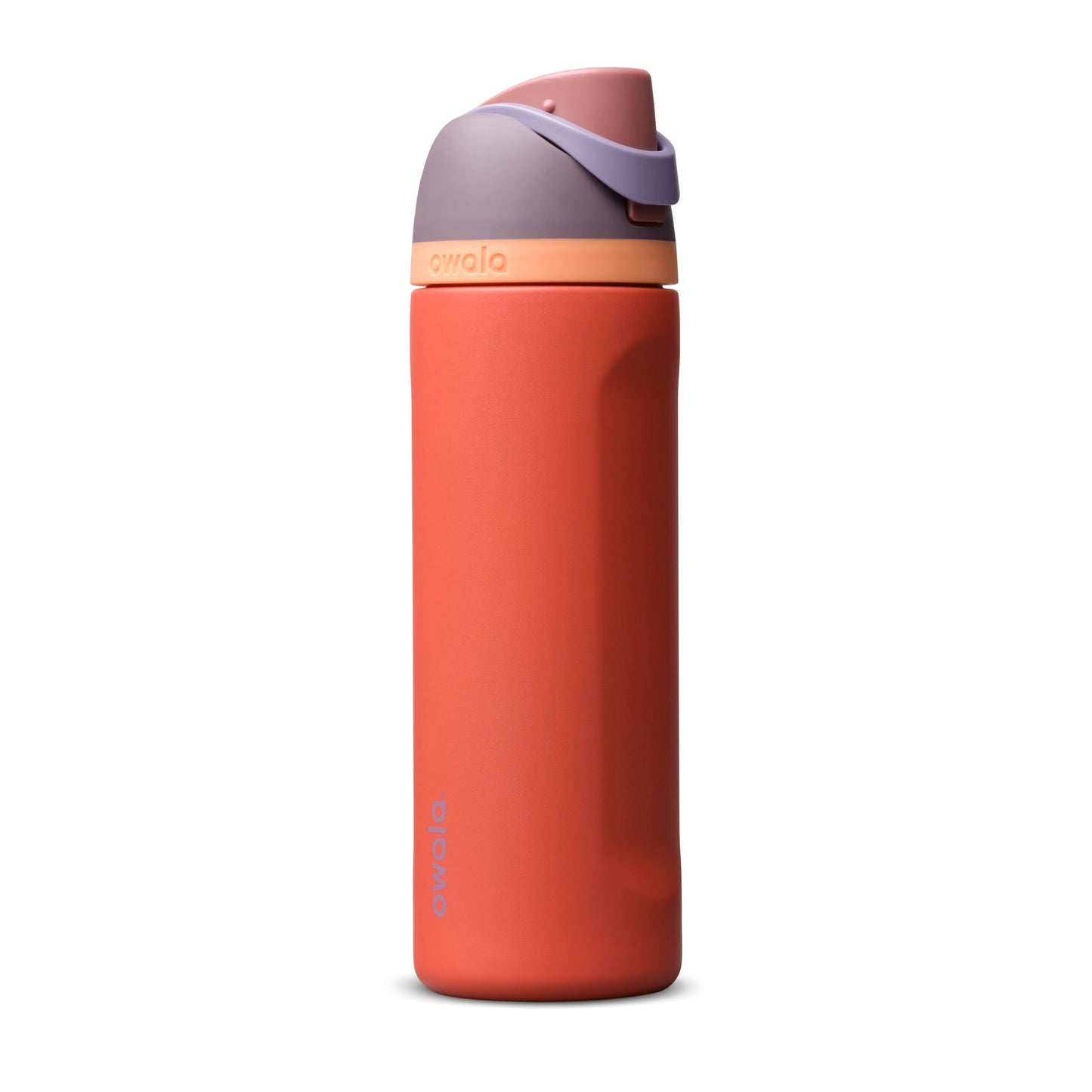 Owala FreeSip Stainless Steel Water Bottle 32 oz Dreamy Field