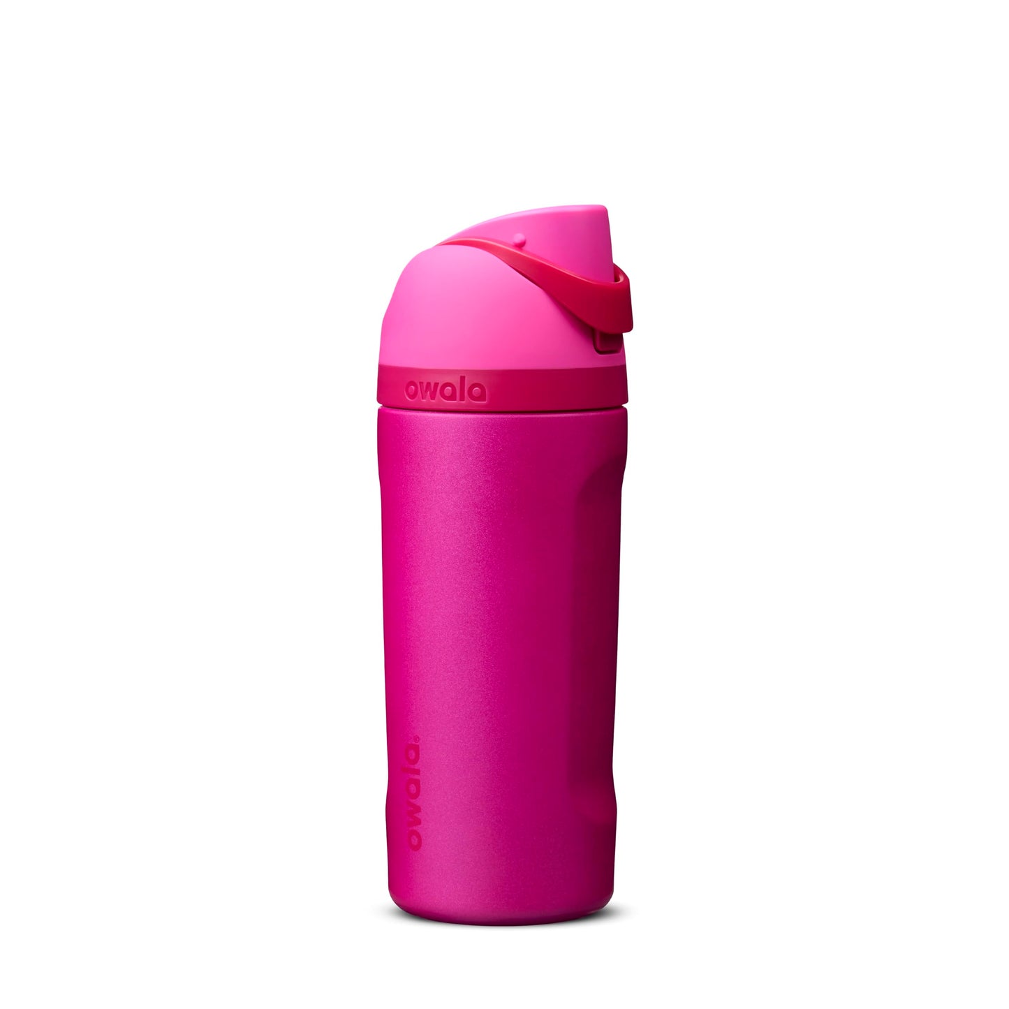 Owala FreeSip Stainless Steel Water Bottle 32 oz Dreamy Field