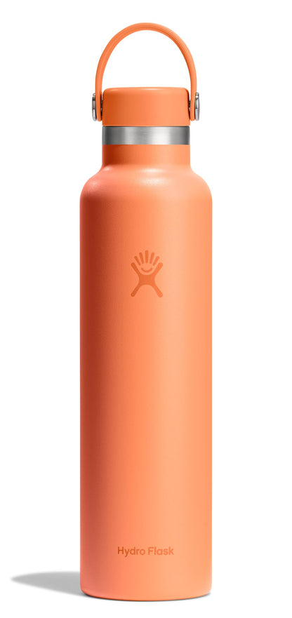 Hydro Flask Water Bottle - Insulated Stainless Steel - Non Spill, Leakproof in 24 Oz Agave Green
