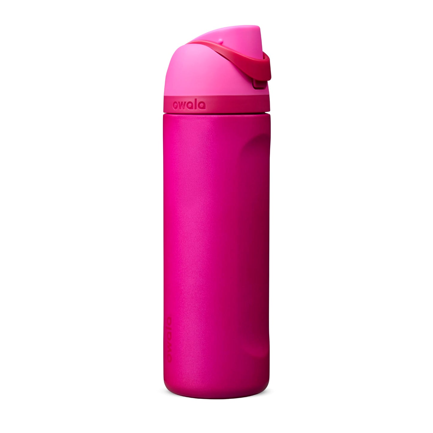 Owala FreeSip Stainless Steel Water Bottle 32 oz Dreamy Field