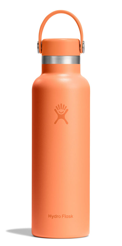Hydro Flask Water Bottle - Insulated Stainless Steel - Non Spill, Leakproof in 24 Oz Agave Green
