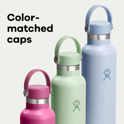 Hydro Flask Water Bottle - Insulated Stainless Steel - Non Spill, Leakproof in 24 Oz Agave Green